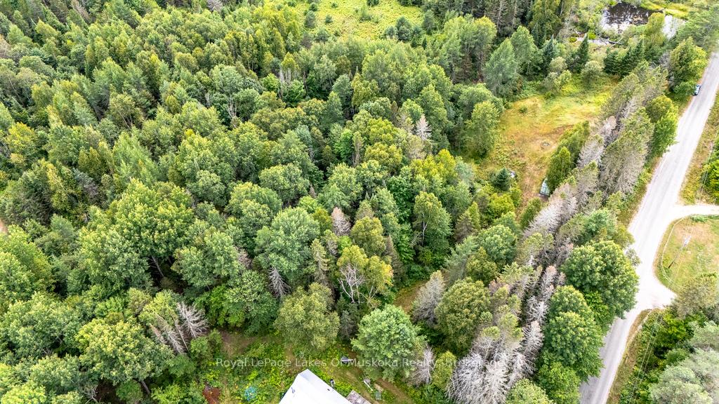 Photo 12 of 253 Goreville Road, Machar — HOMEH