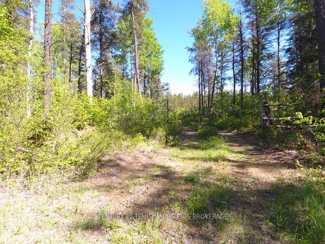 Photo 1 of Airport Road, Coleman — HOMEH