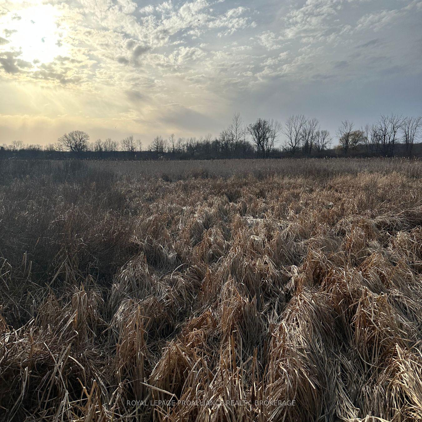 Front of 68 3rd CONCESSION Road