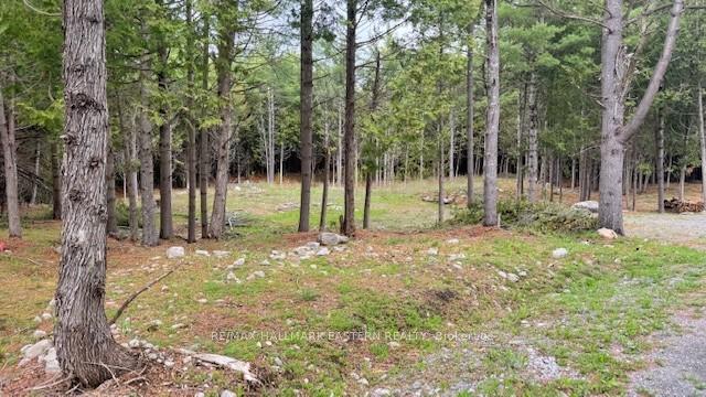 Photo 1 of 593 County Road 40, Douro-Dummer — HOMEH