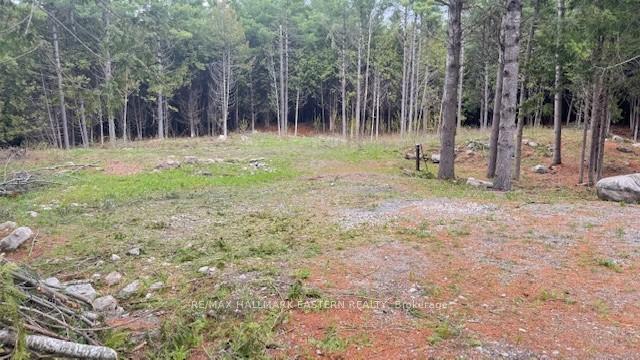 Photo 2 of 593 County Road 40, Douro-Dummer — HOMEH