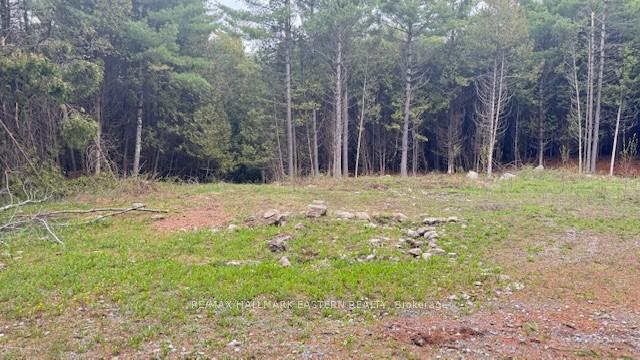 Photo 3 of 593 County Road 40, Douro-Dummer — HOMEH