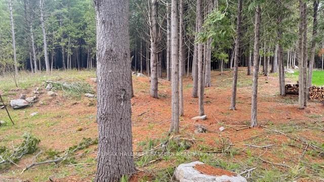 Photo 5 of 593 County Road 40, Douro-Dummer — HOMEH