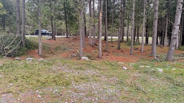 Photo 6 of 593 County Road 40, Douro-Dummer — HOMEH