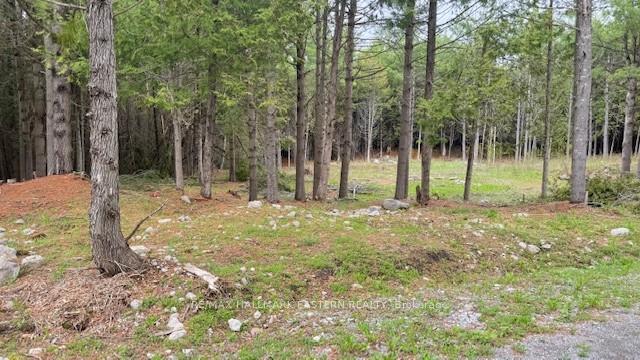 Photo 7 of 593 County Road 40, Douro-Dummer — HOMEH