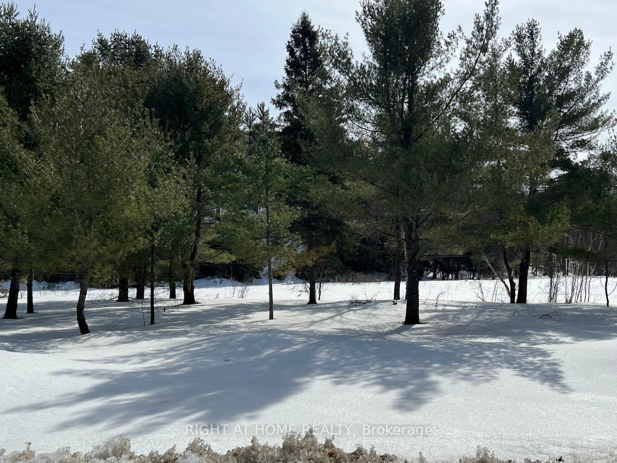 Photo 2 of 1 Long Lake Estates Road, McDougall — HOMEH