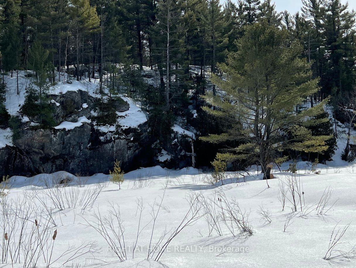 Photo 1 of 1 Long Lake Estates Road, McDougall — HOMEH