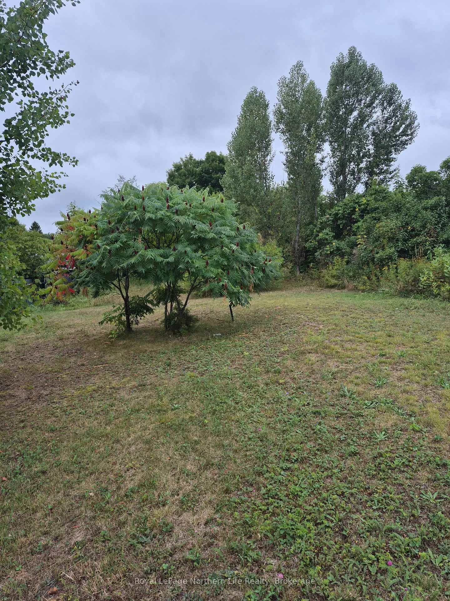 Photo 1 of 260 Sixth Street, Mattawa — HOMEH