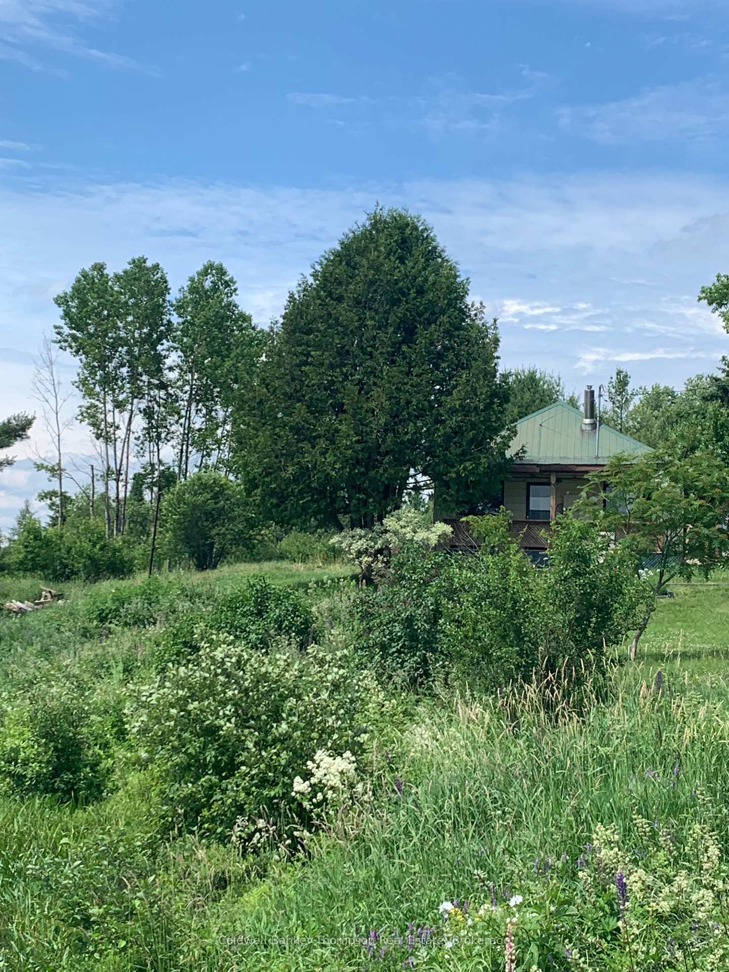 Photo 17 of 10 George Street, Magnetawan — HOMEH