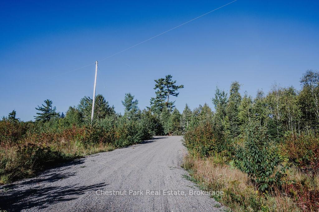 Photo 6 of 7298 Highway 11 N, Temagami — HOMEH