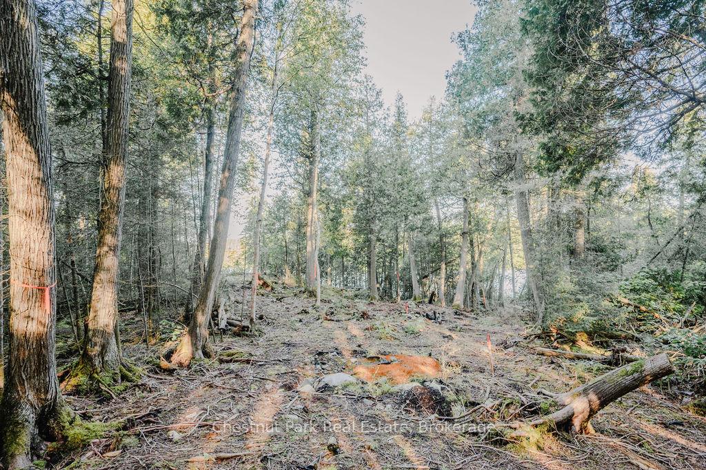 Photo 10 of 7298 Highway 11 N, Temagami — HOMEH