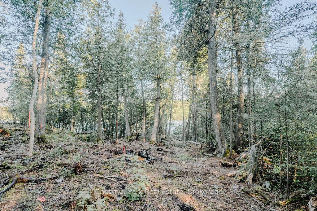 Photo 11 of 7298 Highway 11 N, Temagami — HOMEH
