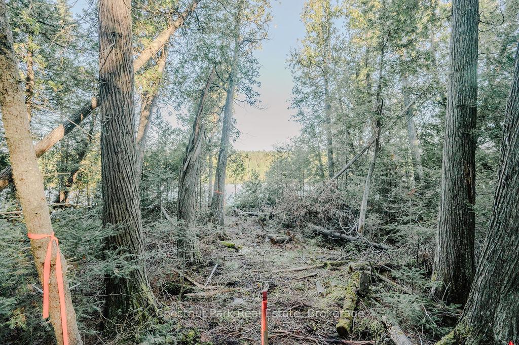 Photo 12 of 7298 Highway 11 N, Temagami — HOMEH