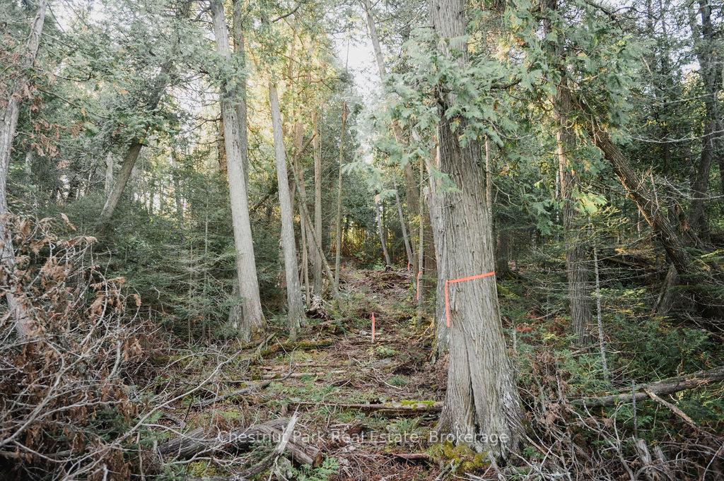 Photo 13 of 7298 Highway 11 N, Temagami — HOMEH