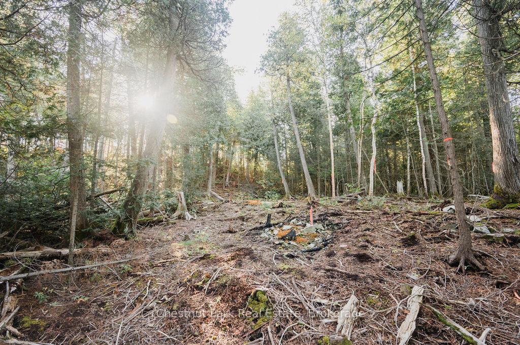 Photo 15 of 7298 Highway 11 N, Temagami — HOMEH