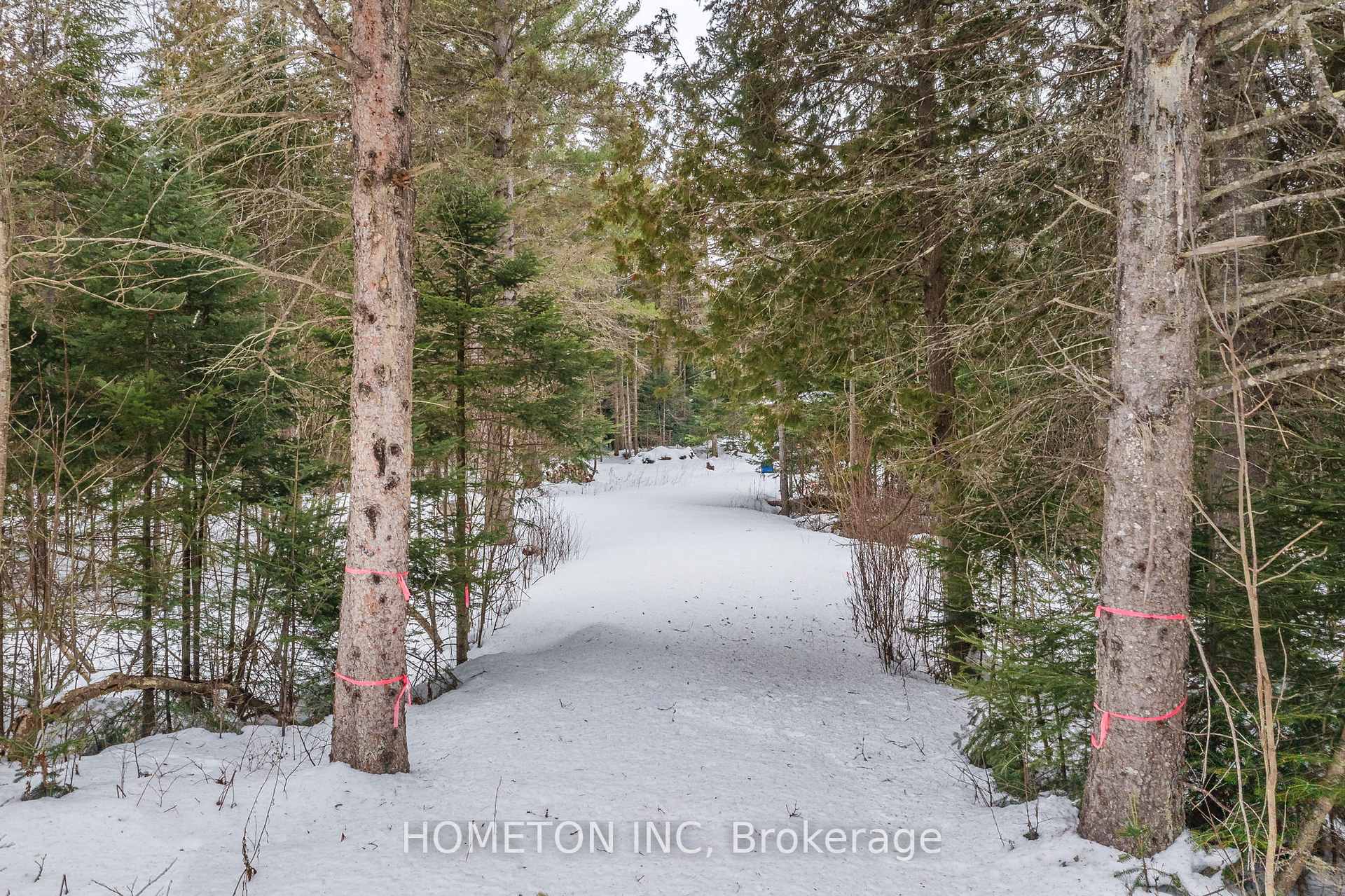 Photo 22 of 801 Echo Ridge Road, Kearney — HOMEH