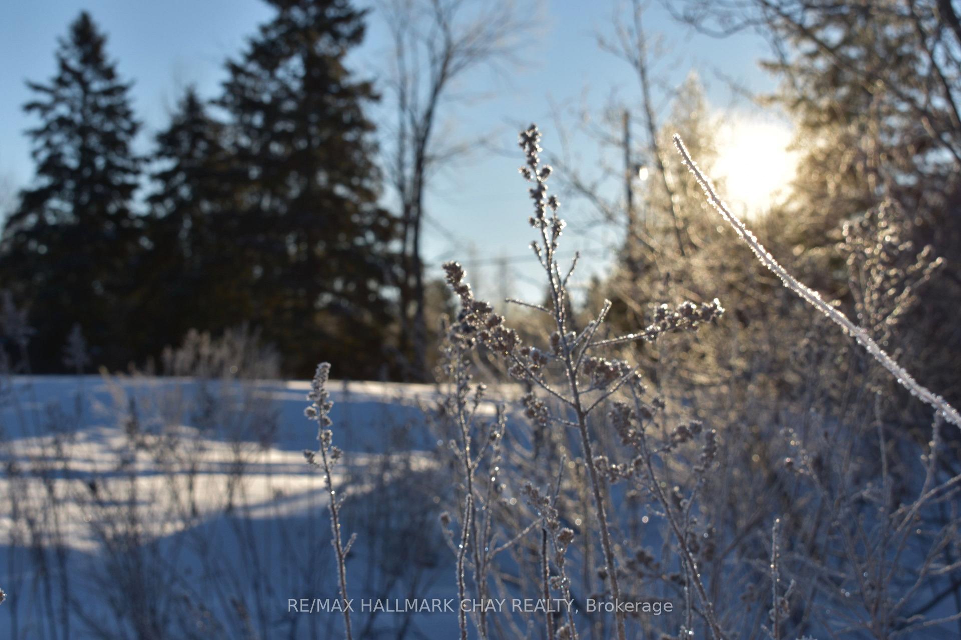 Photo 6 of Burnetts Road, McKellar — HOMEH
