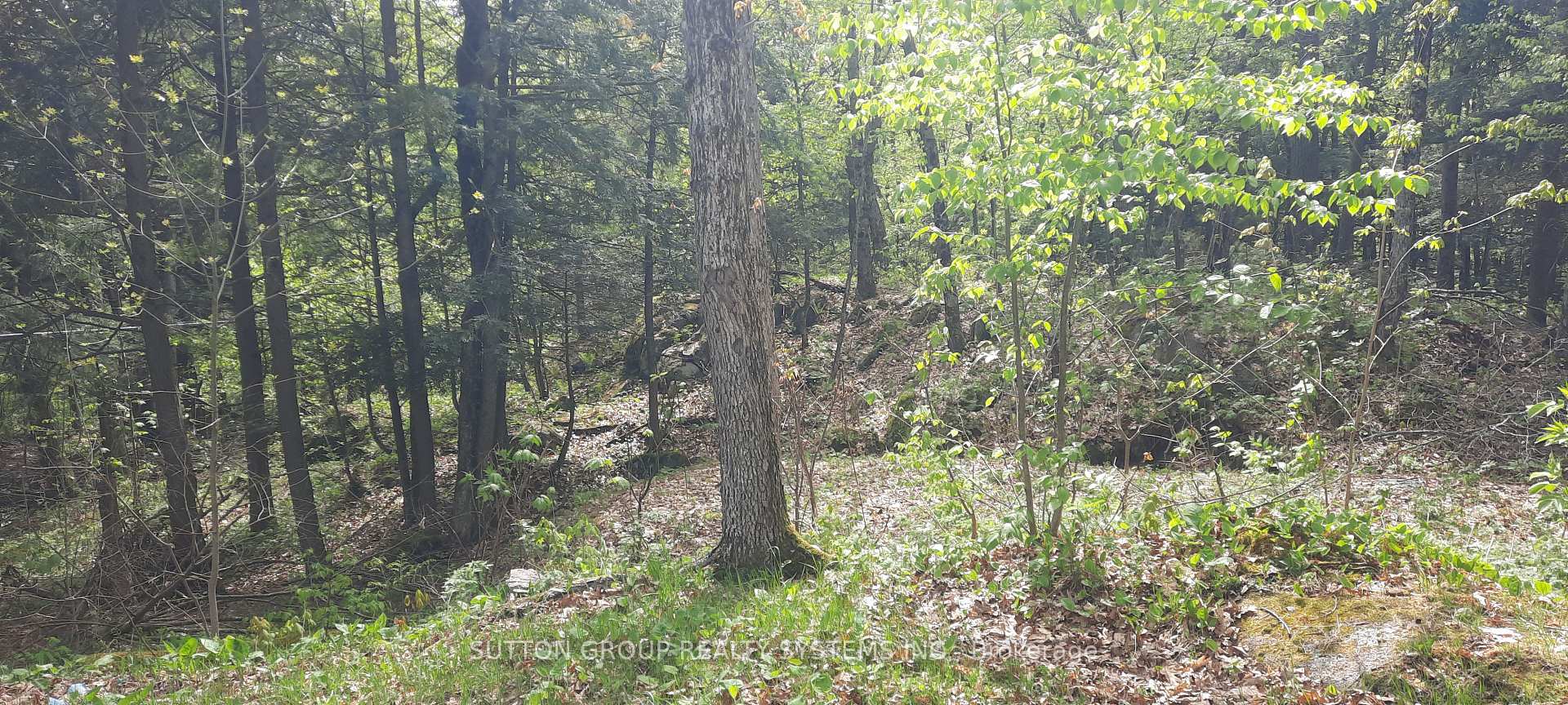 Photo 17 of 234 Healey Lake Water, The Archipelago, Archipelago South — HOMEH
