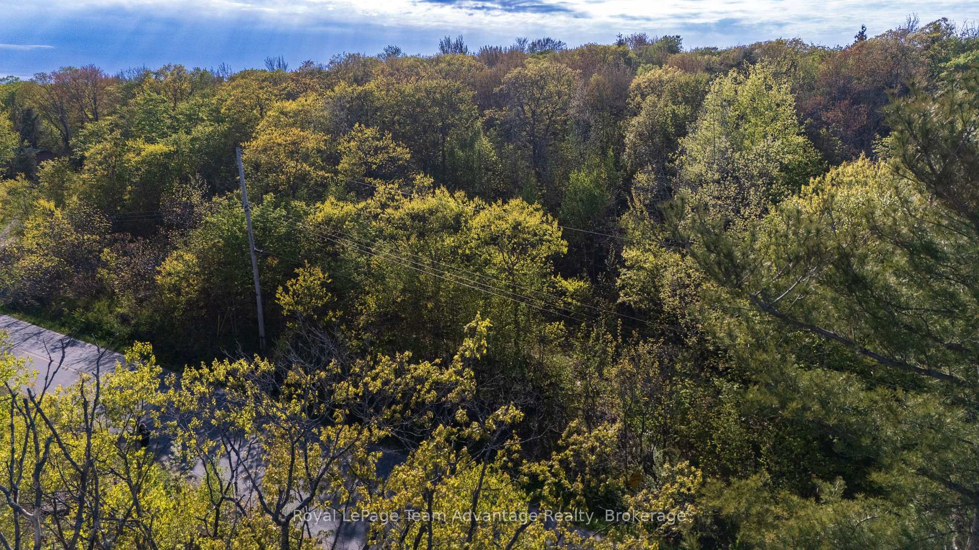 Photo 7 of 9 Pinewood Road, McDougall — HOMEH