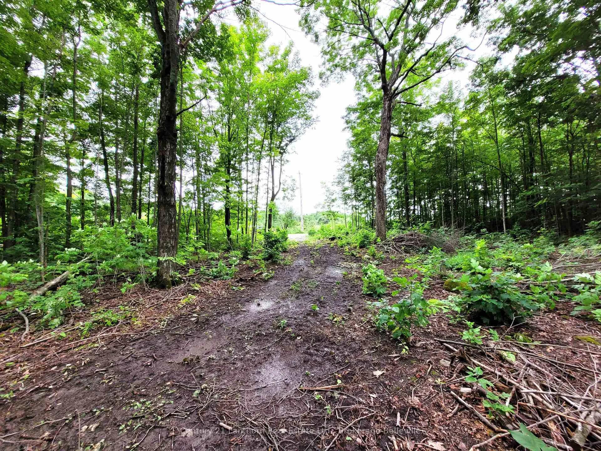 Photo 3 of Spry Road, Stirling-Rawdon, Rawdon Ward — HOMEH