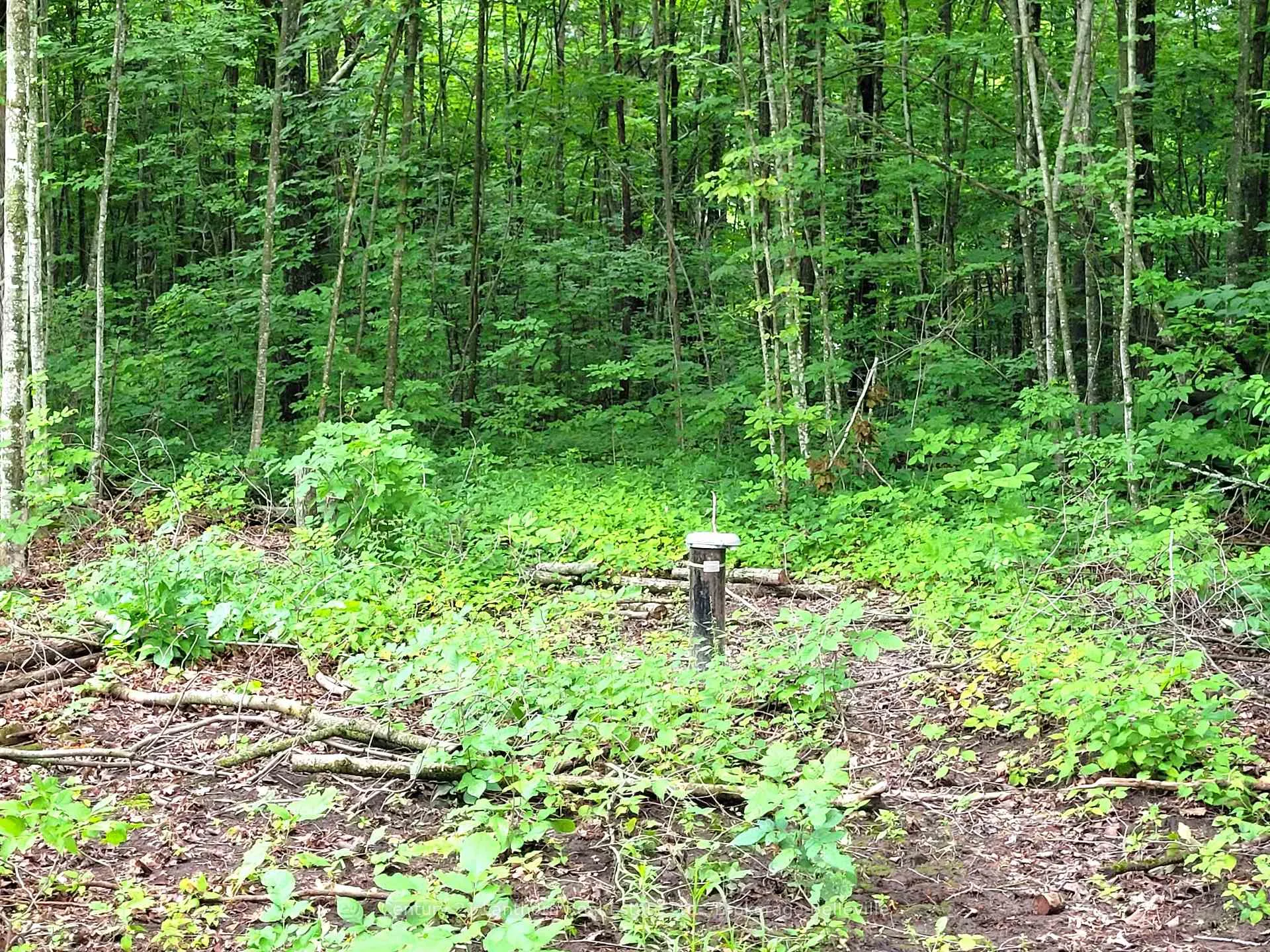 Photo 4 of Spry Road, Stirling-Rawdon, Rawdon Ward — HOMEH
