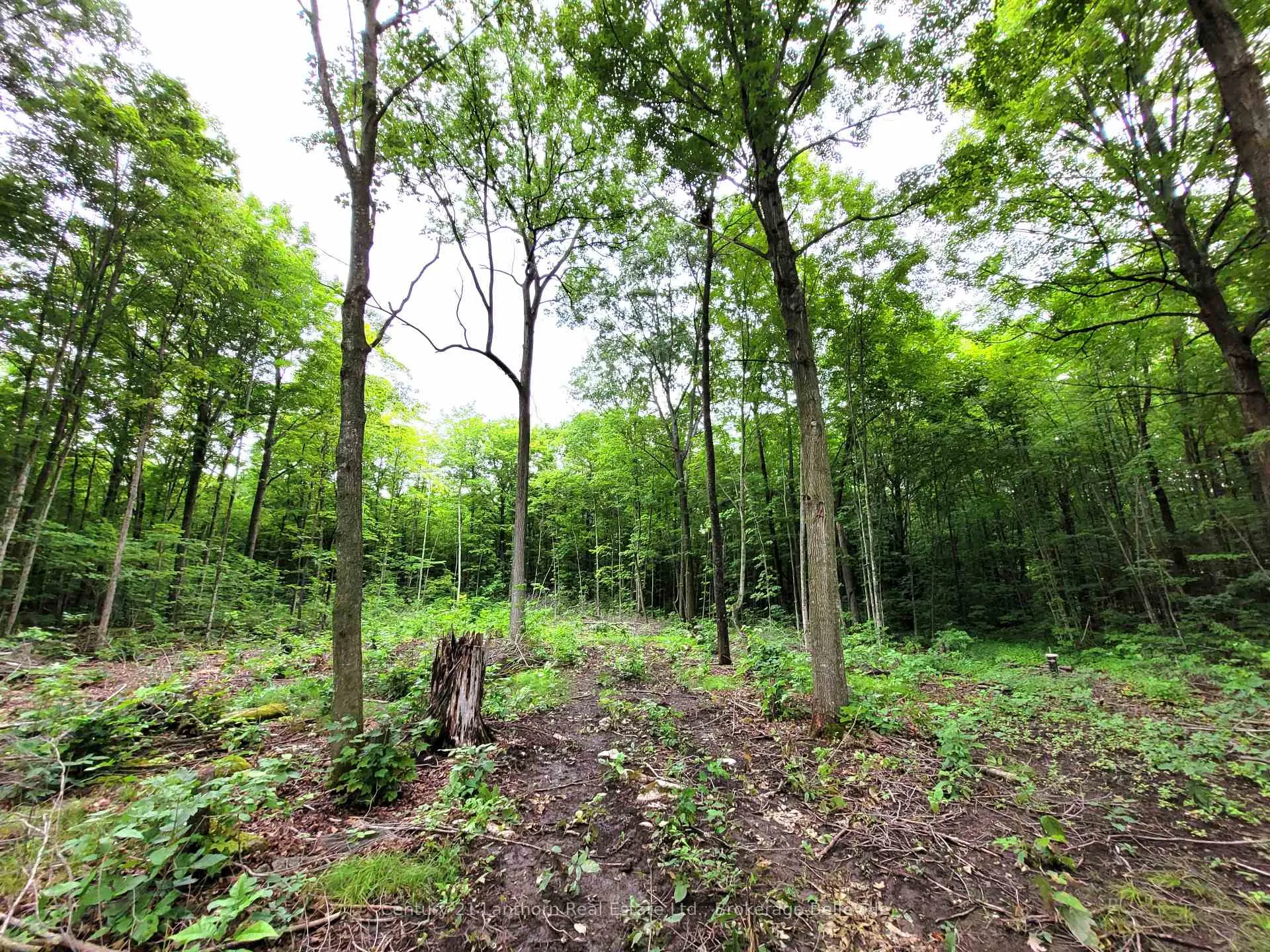 Photo 5 of Spry Road, Stirling-Rawdon, Rawdon Ward — HOMEH