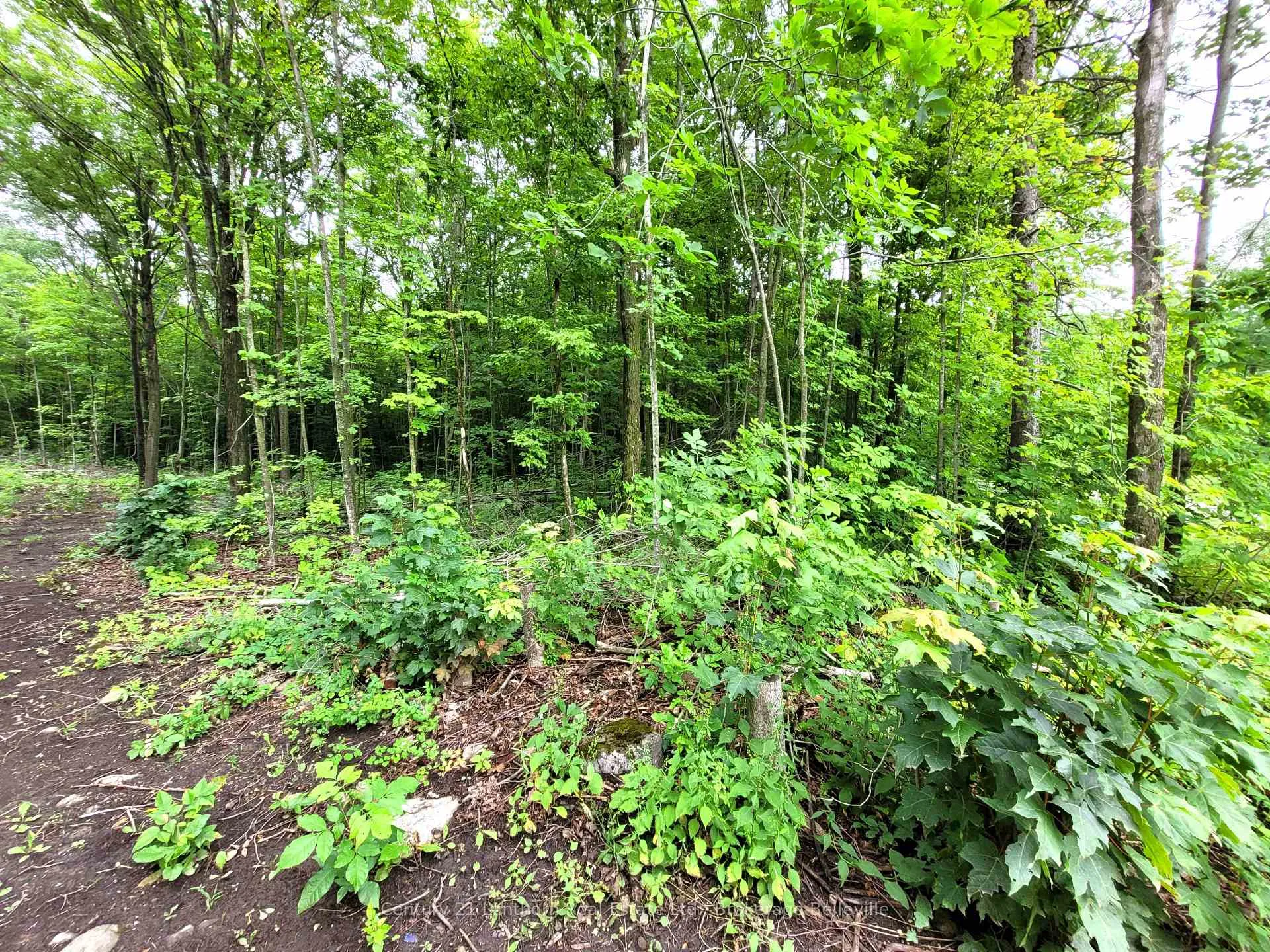 Photo 13 of Spry Road, Stirling-Rawdon, Rawdon Ward — HOMEH