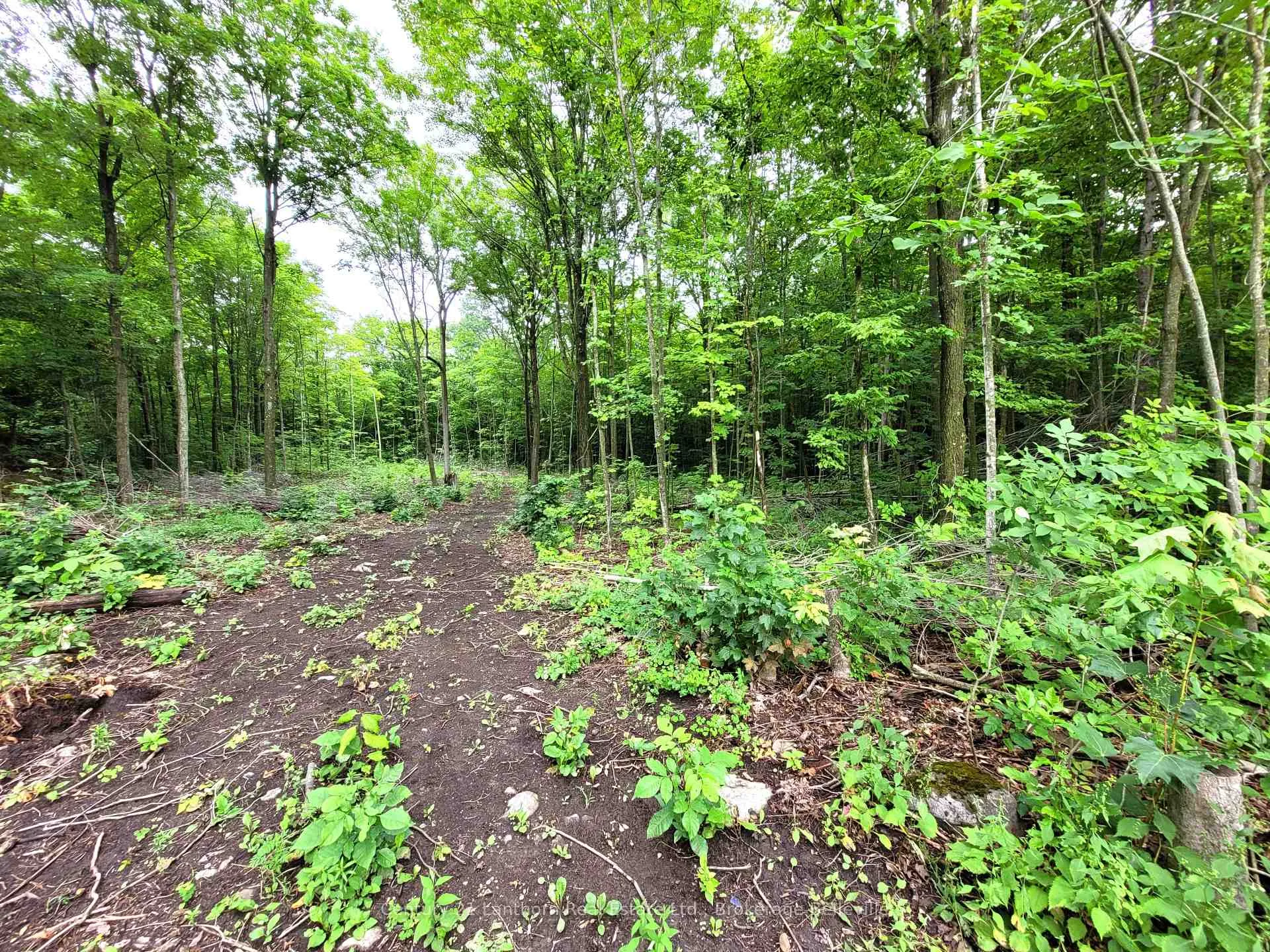 Photo 14 of Spry Road, Stirling-Rawdon, Rawdon Ward — HOMEH