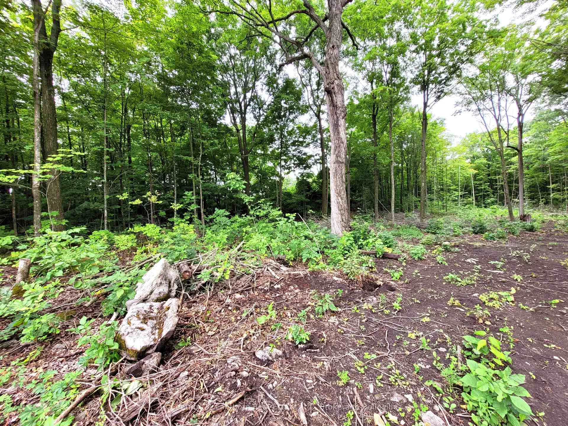 Photo 16 of Spry Road, Stirling-Rawdon, Rawdon Ward — HOMEH