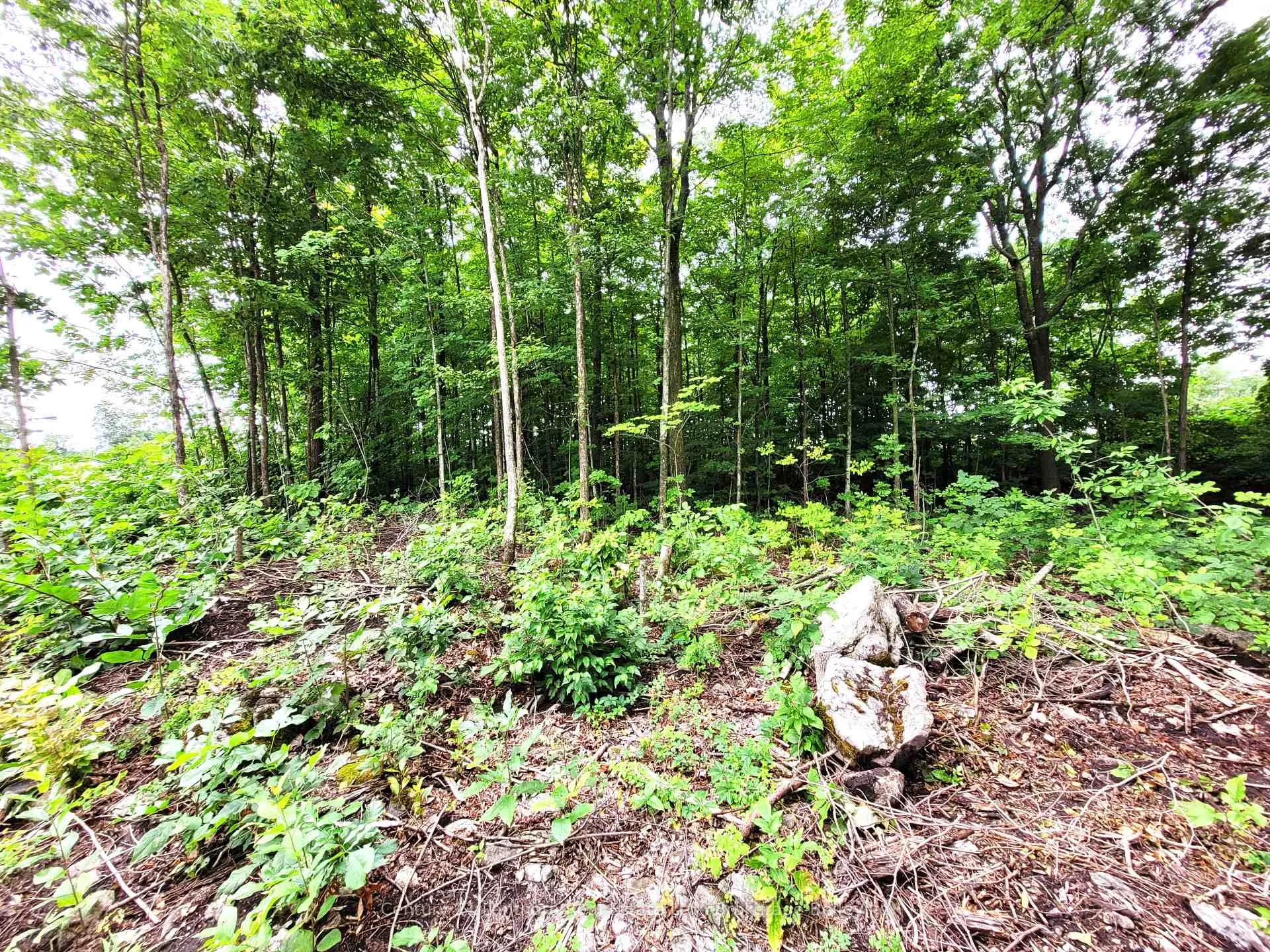 Photo 17 of Spry Road, Stirling-Rawdon, Rawdon Ward — HOMEH