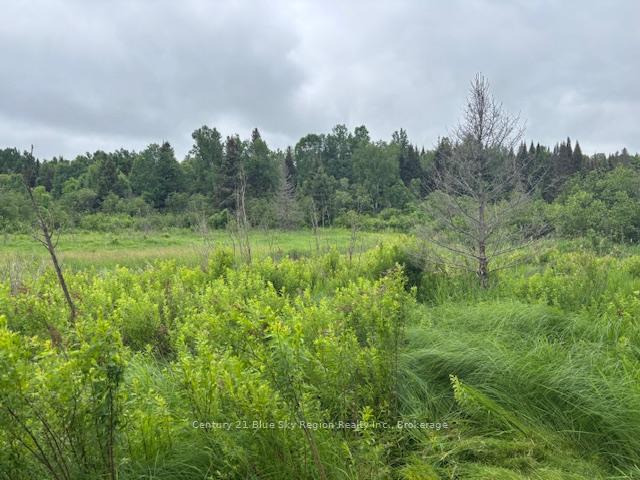 Photo 7 of LT 3 Highway 17 E, Bonfield — HOMEH