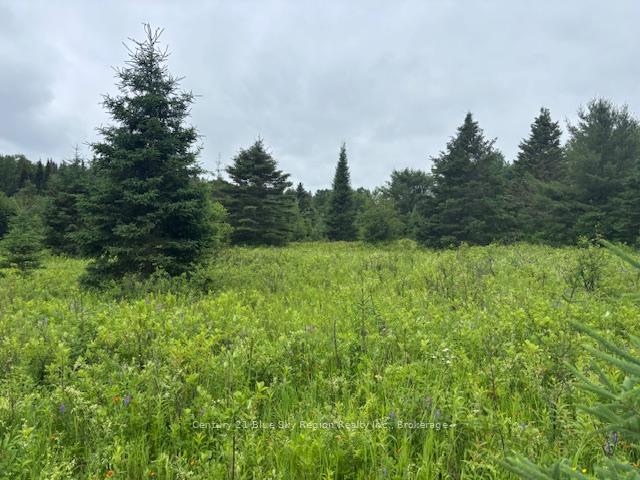 Photo 2 of LT 3 Highway 17 E, Bonfield — HOMEH