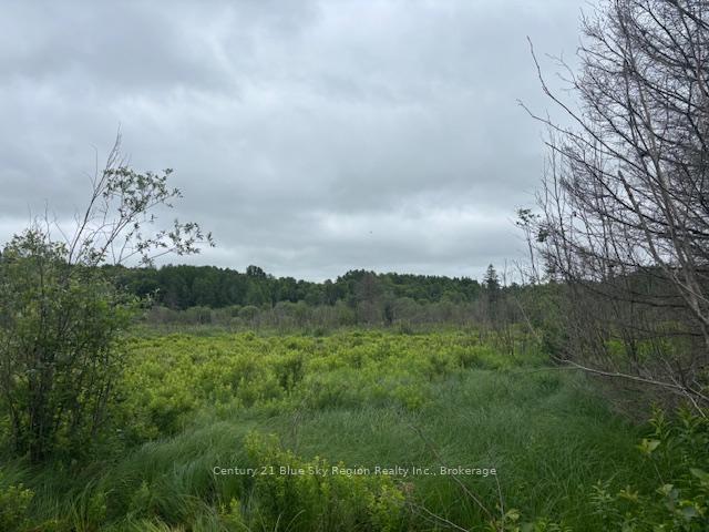 Photo 12 of LT 3 Highway 17 E, Bonfield — HOMEH