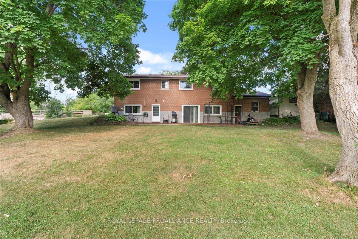 Photo 37 of 76 Henry Street, Stirling-Rawdon, Stirling Ward — HOMEH