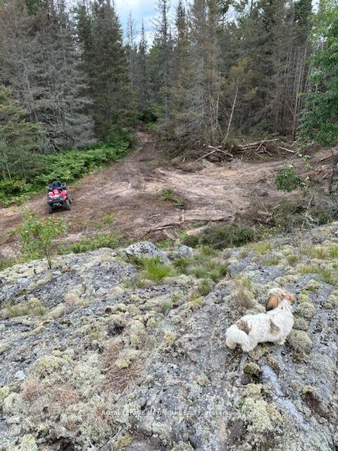 Photo 4 of PIN 73422053, Sables-Spanish Rivers — HOMEH