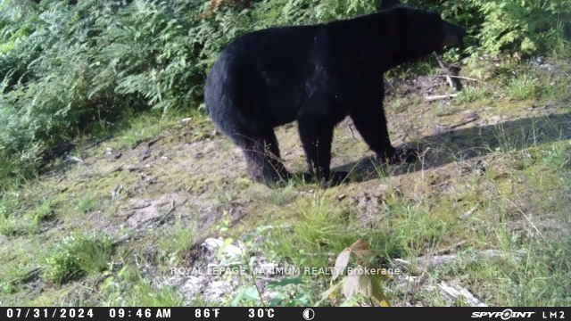 Photo 5 of PIN 73422053, Sables-Spanish Rivers — HOMEH
