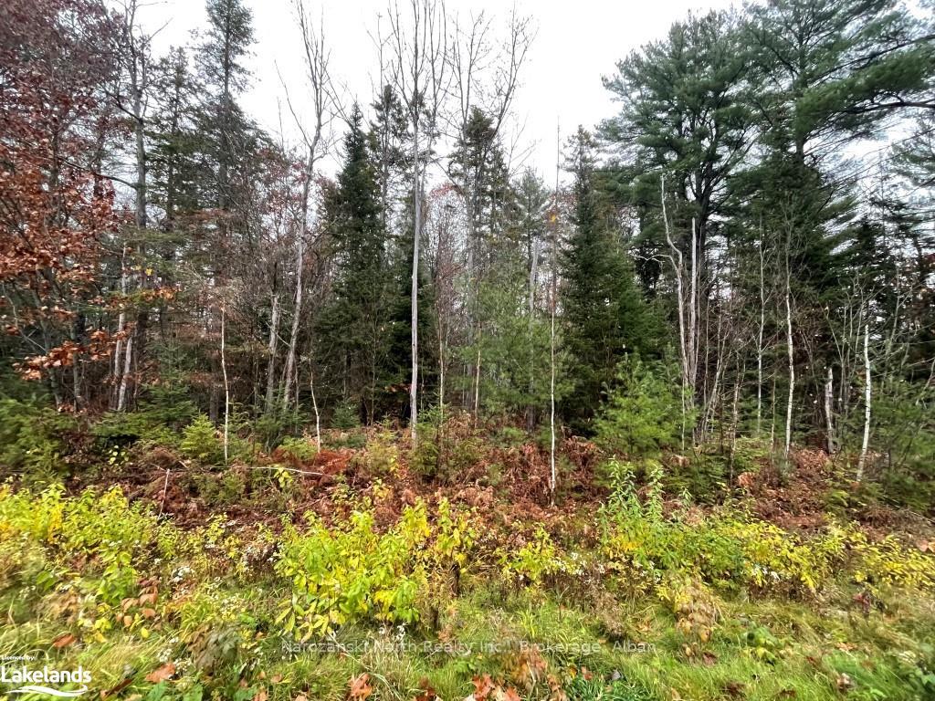 Photo 3 of 125 Riverview Dr, French River — HOMEH