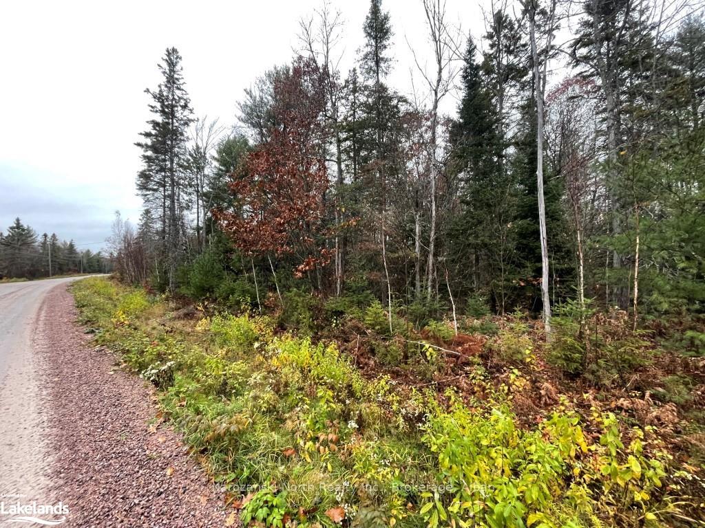 Photo 4 of 125 Riverview Dr, French River — HOMEH