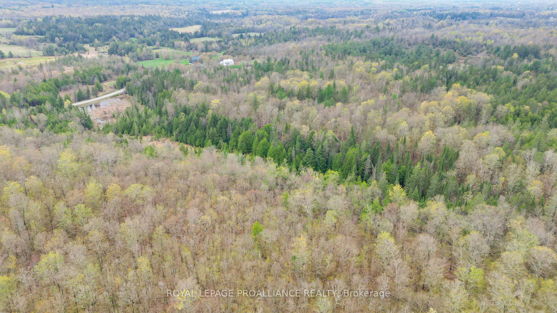 Photo 7 of 00 Spry Settlement Road, Stirling-Rawdon, Rawdon Ward — HOMEH