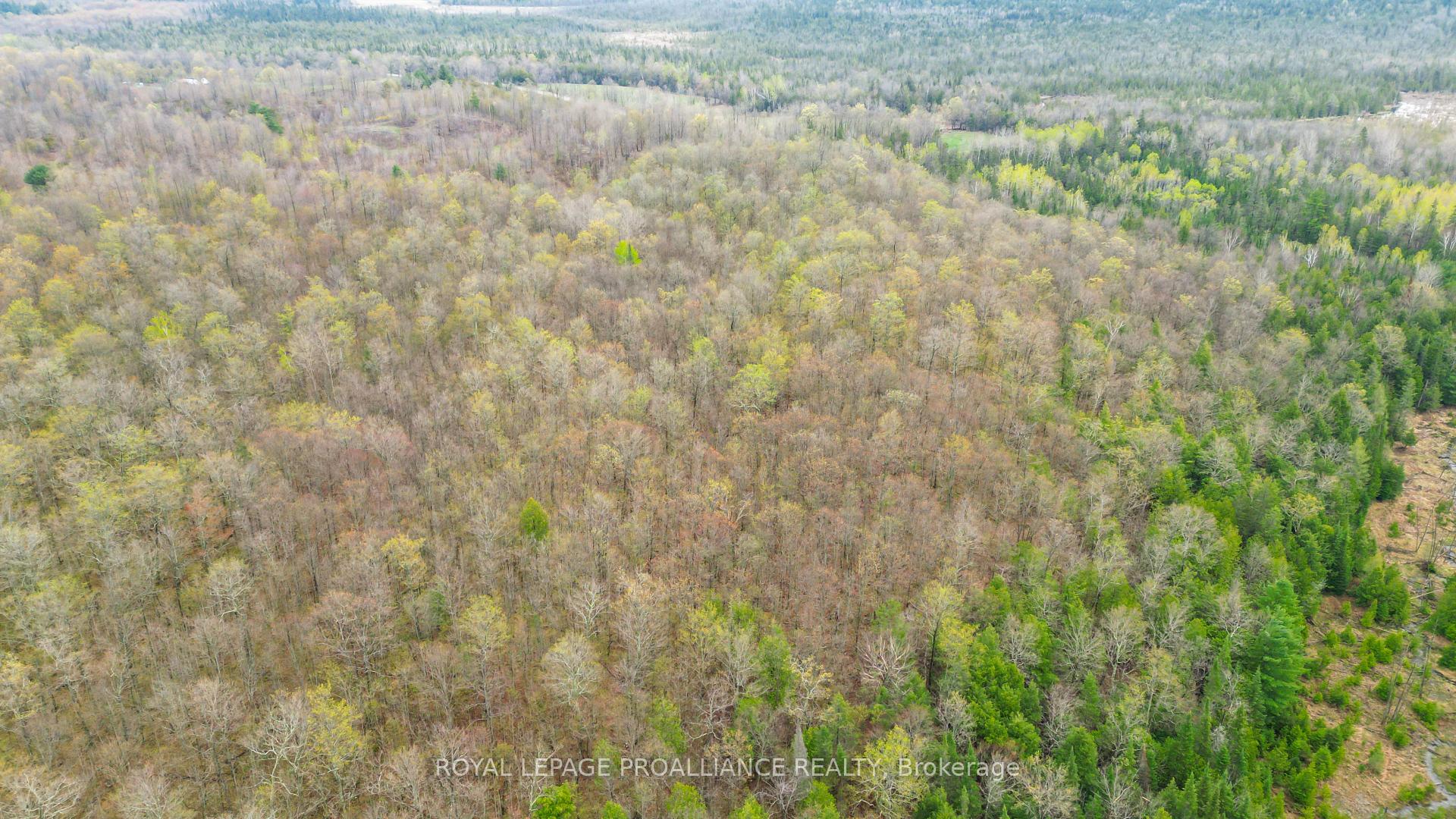 Photo 9 of 00 Spry Settlement Road, Stirling-Rawdon, Rawdon Ward — HOMEH