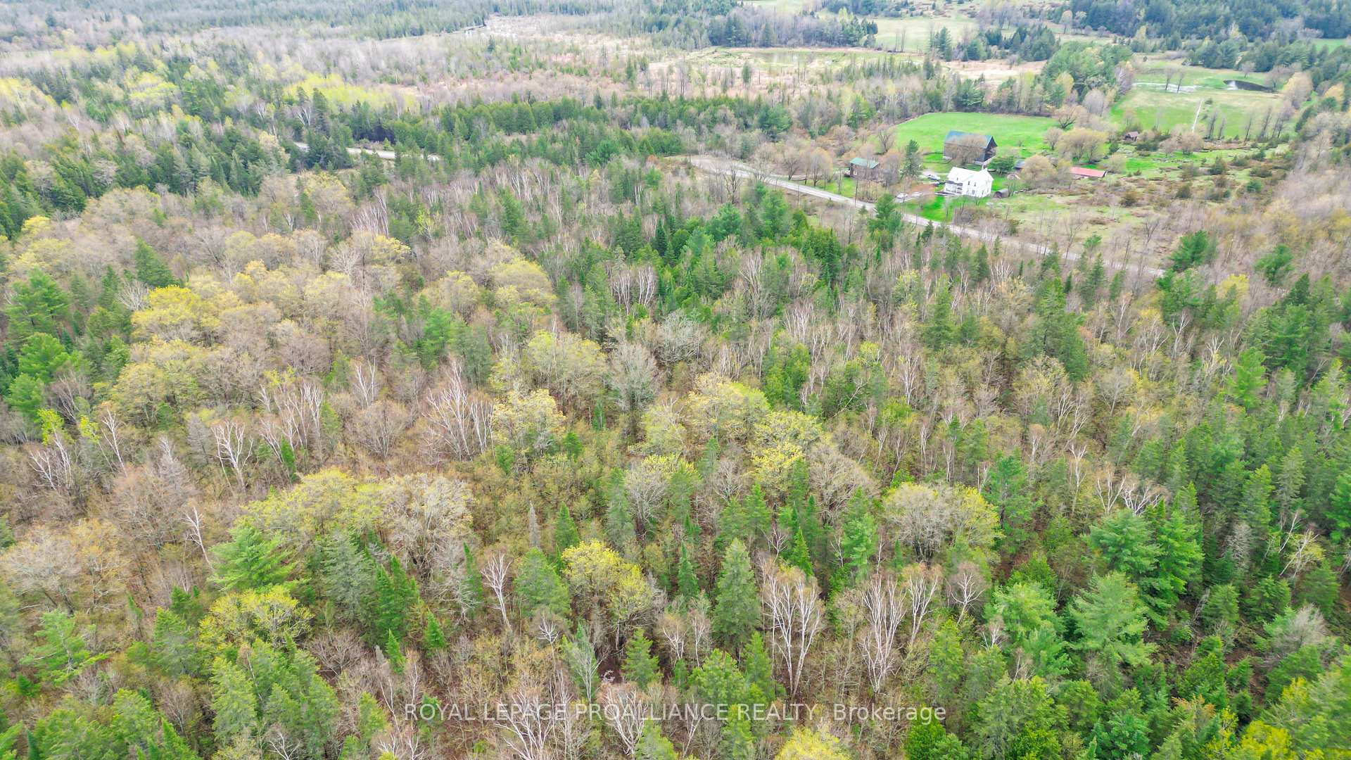 Photo 13 of 00 Spry Settlement Road, Stirling-Rawdon, Rawdon Ward — HOMEH