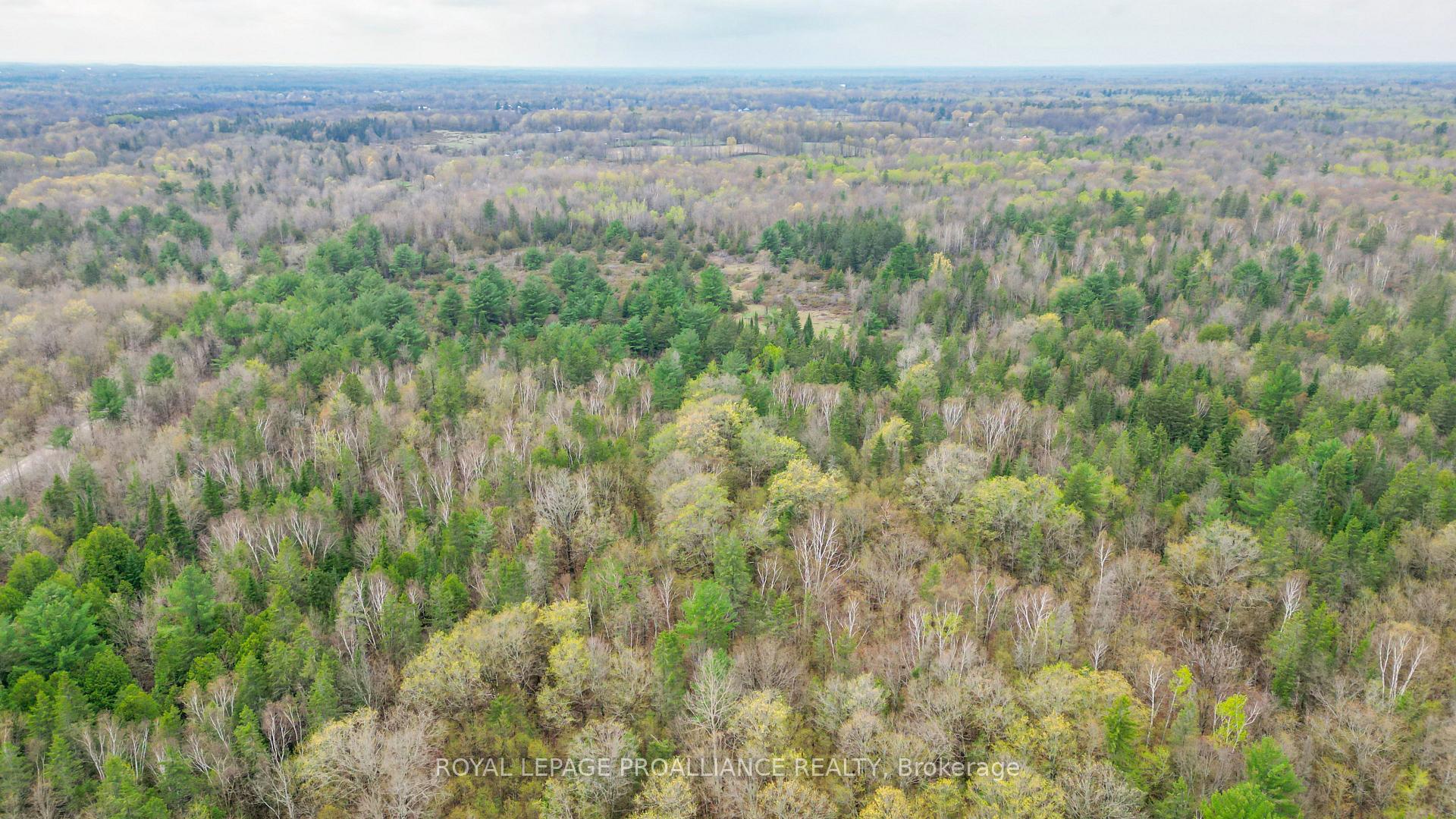 Photo 16 of 00 Spry Settlement Road, Stirling-Rawdon, Rawdon Ward — HOMEH