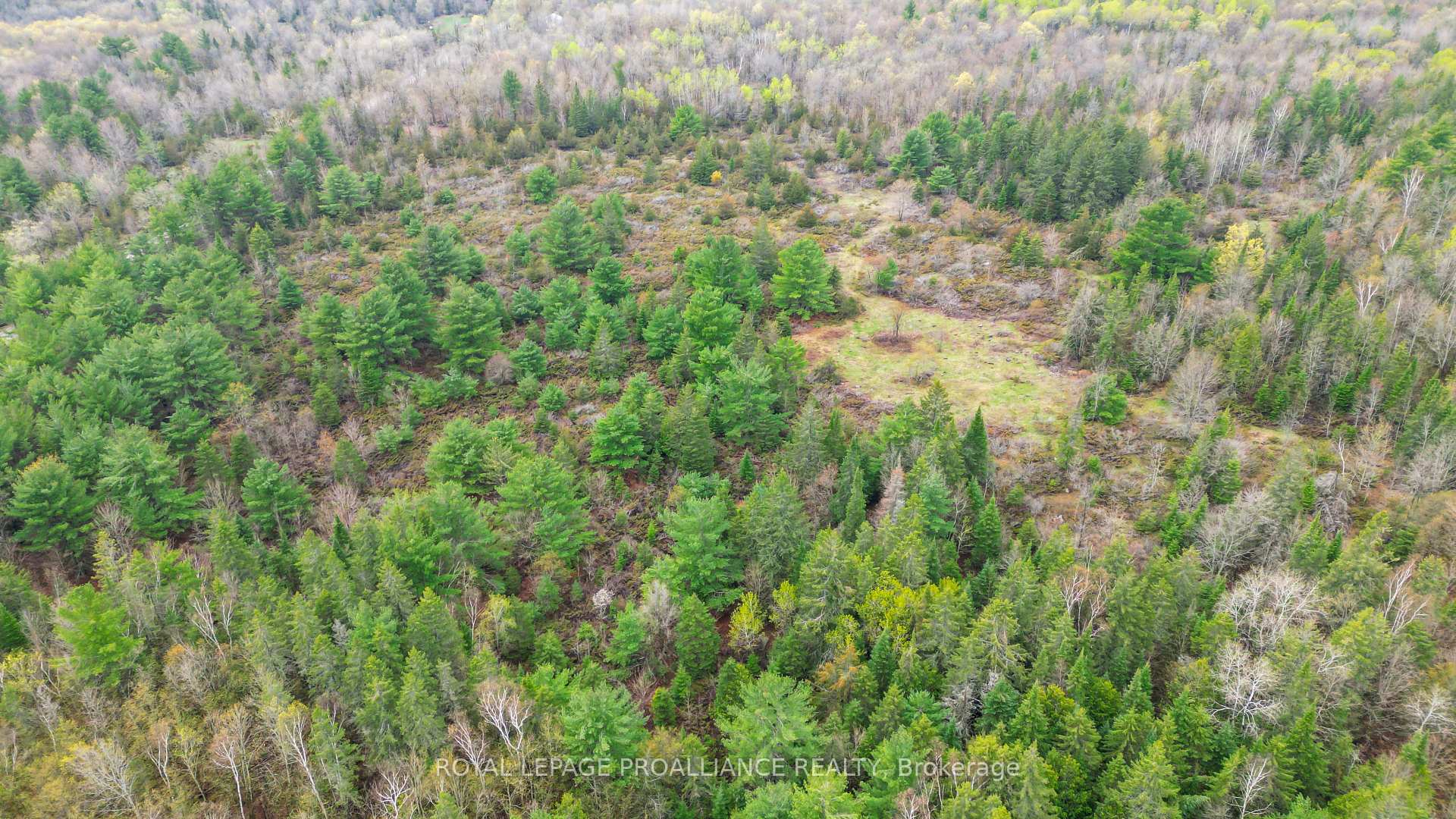Photo 17 of 00 Spry Settlement Road, Stirling-Rawdon, Rawdon Ward — HOMEH