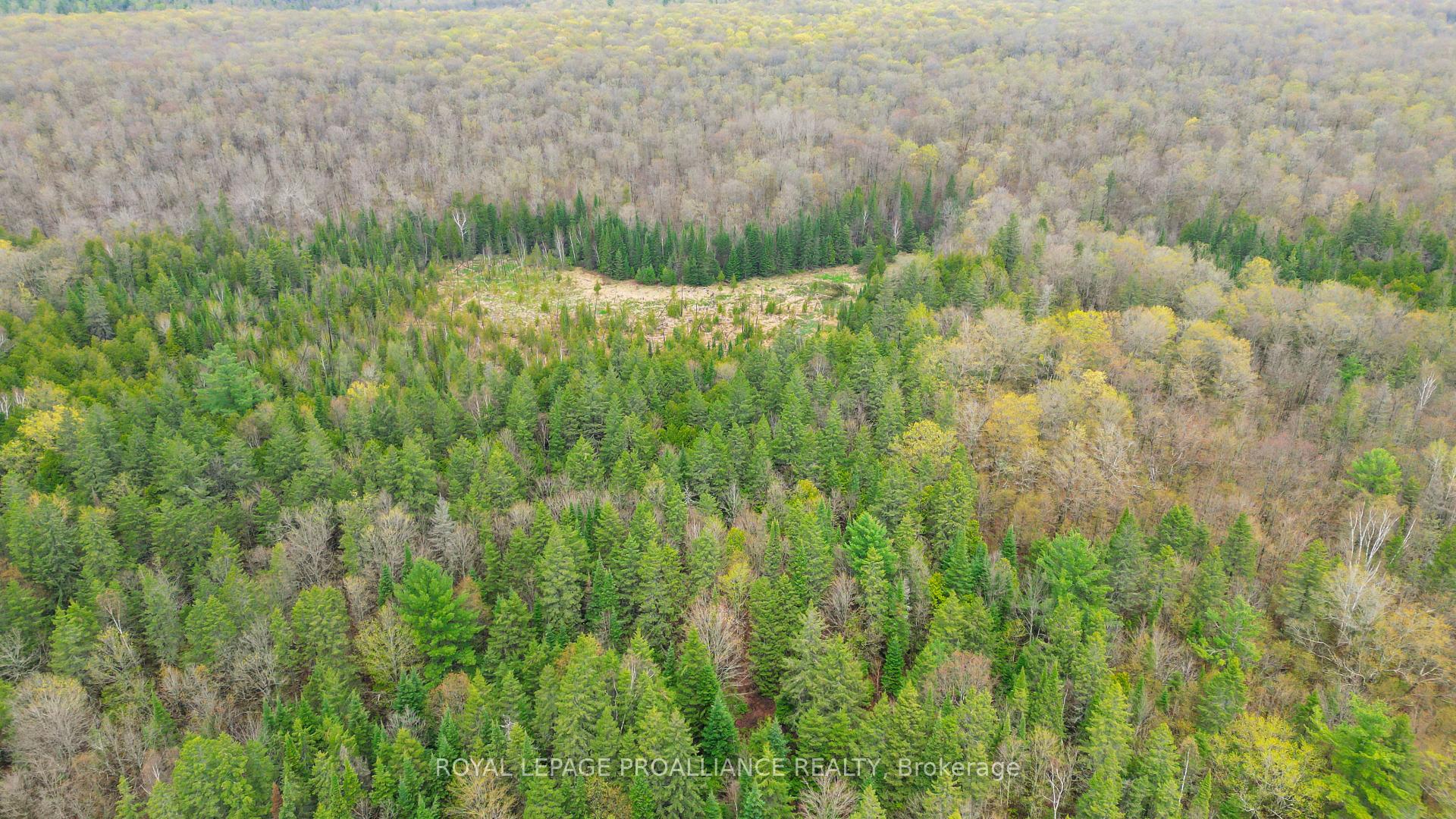 Photo 19 of 00 Spry Settlement Road, Stirling-Rawdon, Rawdon Ward — HOMEH