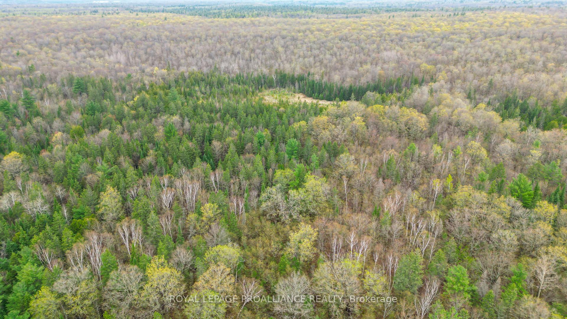 Photo 20 of 00 Spry Settlement Road, Stirling-Rawdon, Rawdon Ward — HOMEH