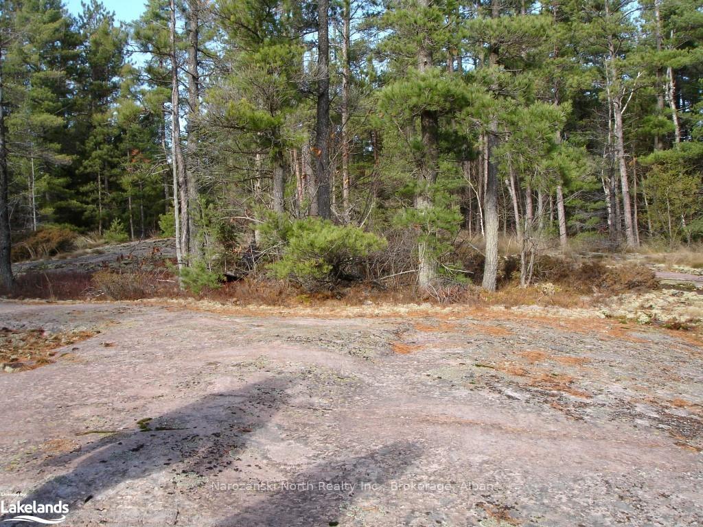 Photo 6 of Balmer Bay, French River — HOMEH