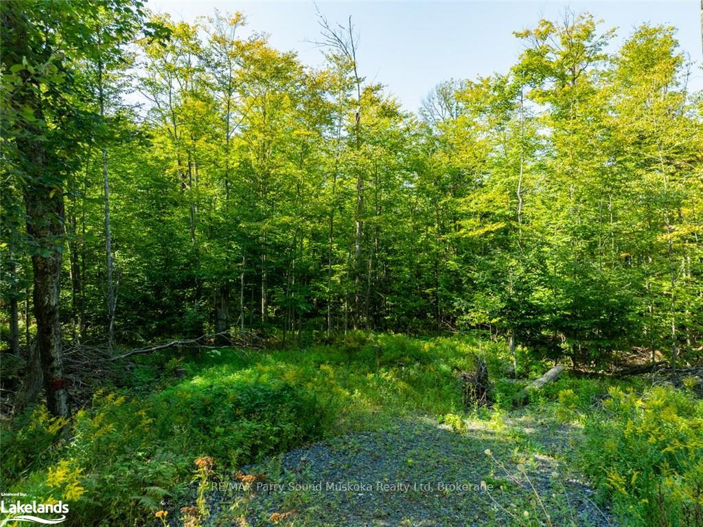 Photo 16 of 18 Burnside Bridge Road, McDougall — HOMEH
