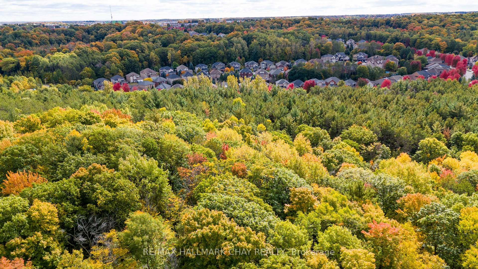 Photo 39 of 107 Cumming Drive, Barrie, Ardagh — HOMEH