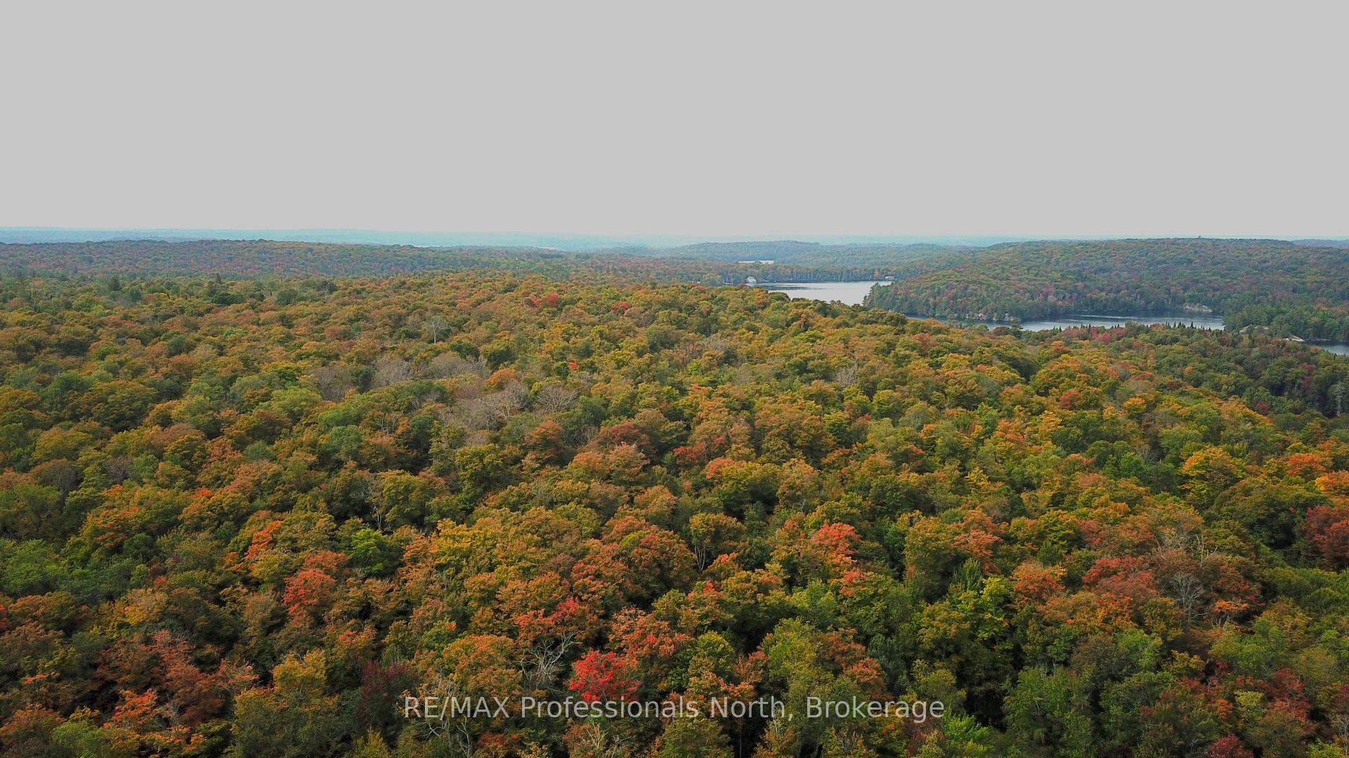 Photo 1 of South Horn Lake Road, Magnetawan — HOMEH