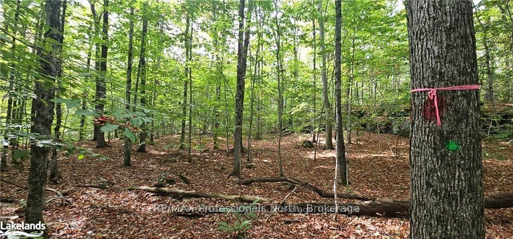 Photo 4 of South Horn Lake Road, Magnetawan — HOMEH